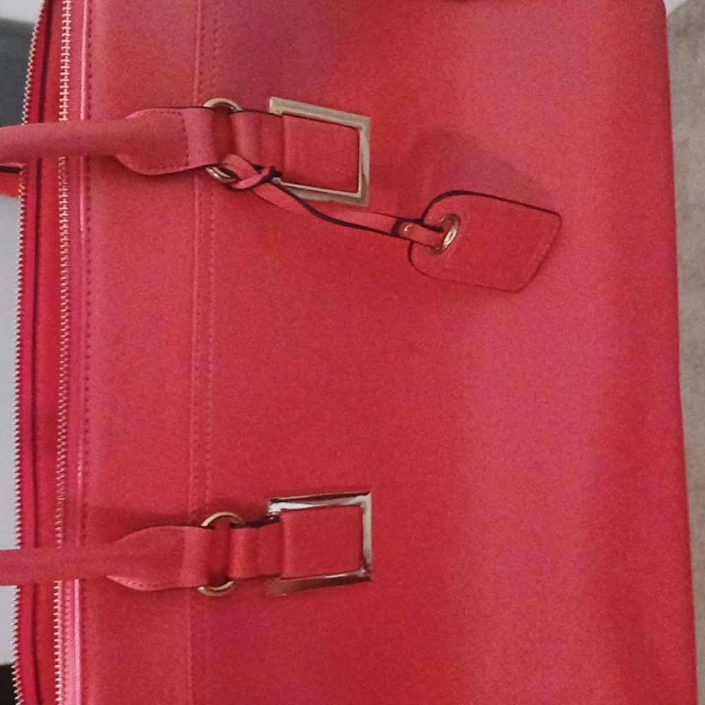Large Aldo coral purse